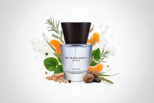 Load image into Gallery viewer, Burberry Touch Men’s Cologne Soft Woods &amp; Spice | 1.6oz or 3.3oz EDT

